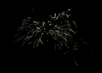 DSCN5248.webp