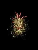 DSCN5247.webp