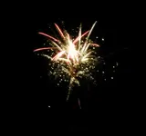 DSCN5246.webp