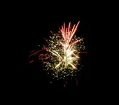 DSCN5245.webp