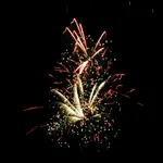 DSCN5242.webp