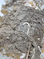 20180721_084209.webp
