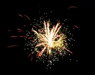 DSCN5241.webp