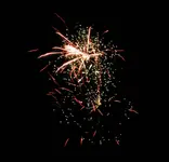 DSCN5240.webp
