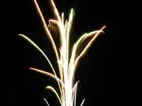 DSCN5238.webp