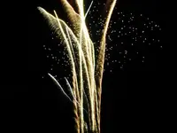 DSCN5237.webp