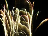 DSCN5236.webp