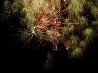 DSCN5235.webp