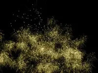 DSCN5234.webp