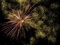DSCN5233.webp