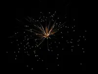 DSCN5232.webp