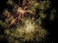DSCN5231.webp