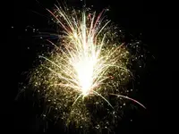 DSCN5230.webp