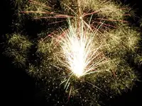 DSCN5229.webp