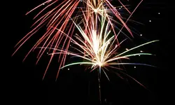 DSCN5228.webp