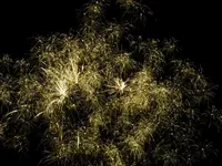 DSCN5226.webp