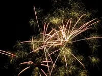DSCN5225.webp