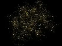 DSCN5224.webp