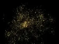 DSCN5223.webp