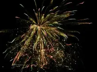 DSCN5220.webp