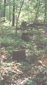 !mountain2.webp