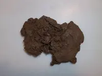Purse Uncleaned.webp