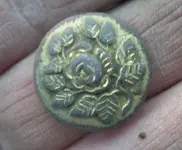 Guilded button.webp