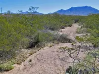 garrett-site-old-road.webp
