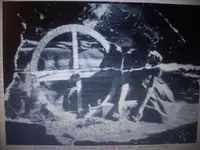 8 Reales mule train.webp