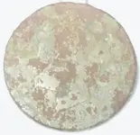 V Nic.webp