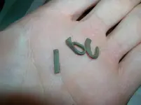 DSCN0324.webp