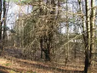 old road 002.webp