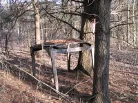 old road 006.webp