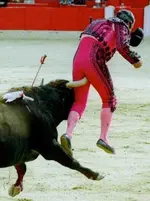 p6.webp
