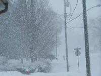 spring4.webp