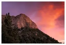 Lily Rock.webp