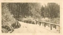 !MOUNTAIN GROVE.webp