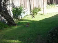 DSCN3847.webp