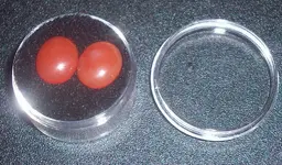 agates.webp