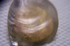100_4124.webp