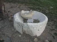 DSCN2955.webp