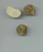 3 musket balls found.webp