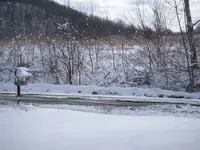 winter08 004.webp