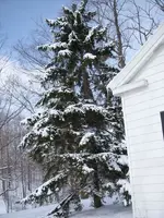 winter08 003.webp
