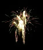DSCN5216.webp