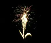 DSCN5215.webp