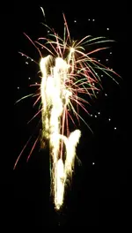 DSCN5214.webp