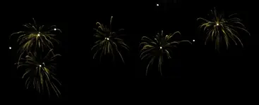 DSCN5213.webp