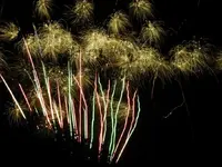 DSCN5211.webp
