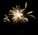 DSCN5207.webp